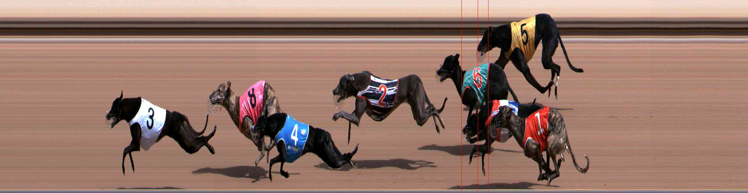 Photo finish for Healesville Race 2