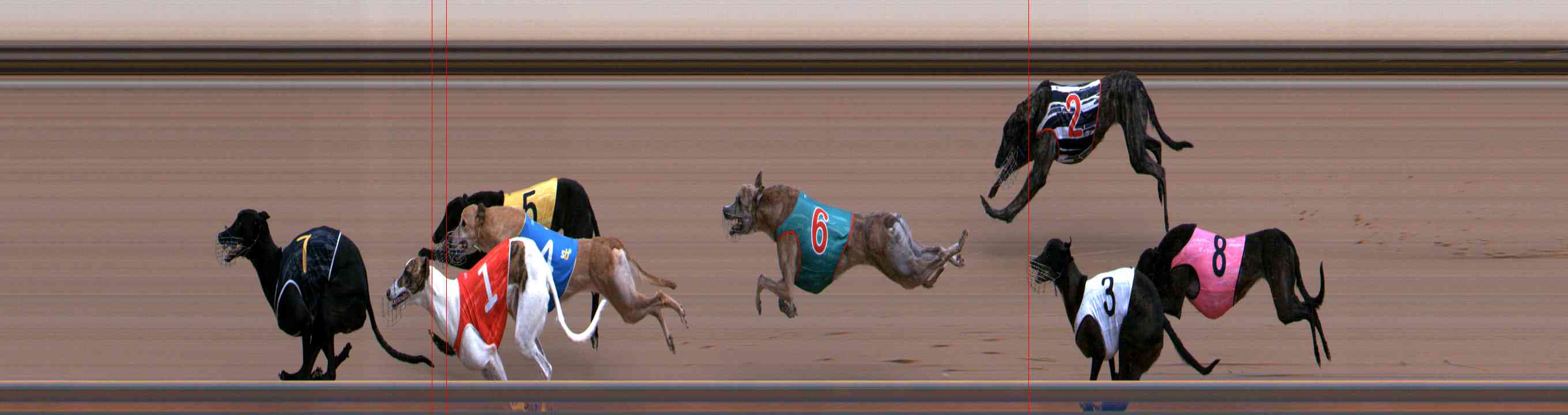 Photo finish for Healesville Race 3