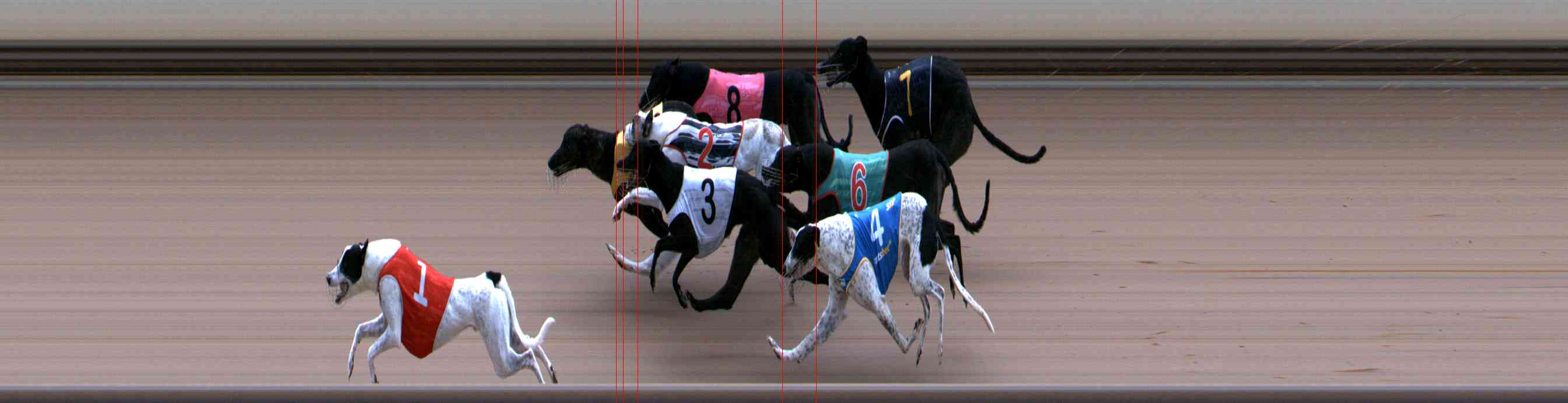 Photo finish for Healesville Race 4