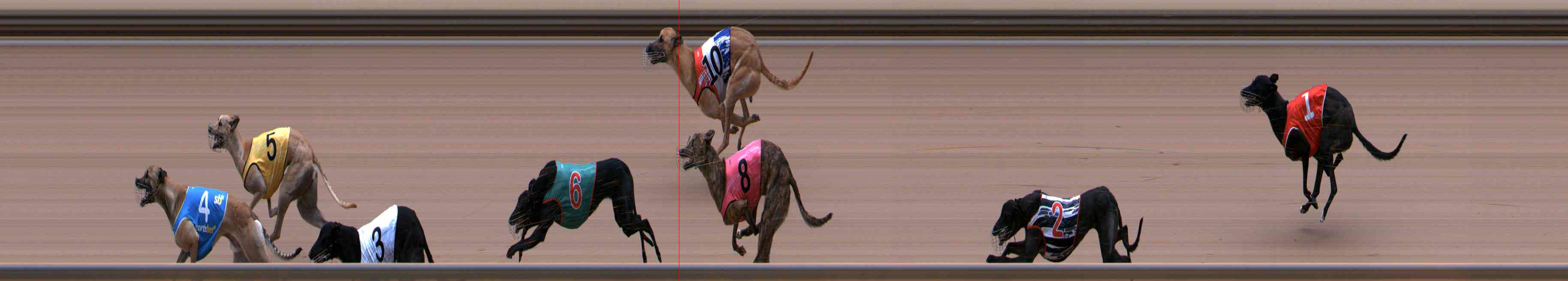 Photo finish for Healesville Race 5