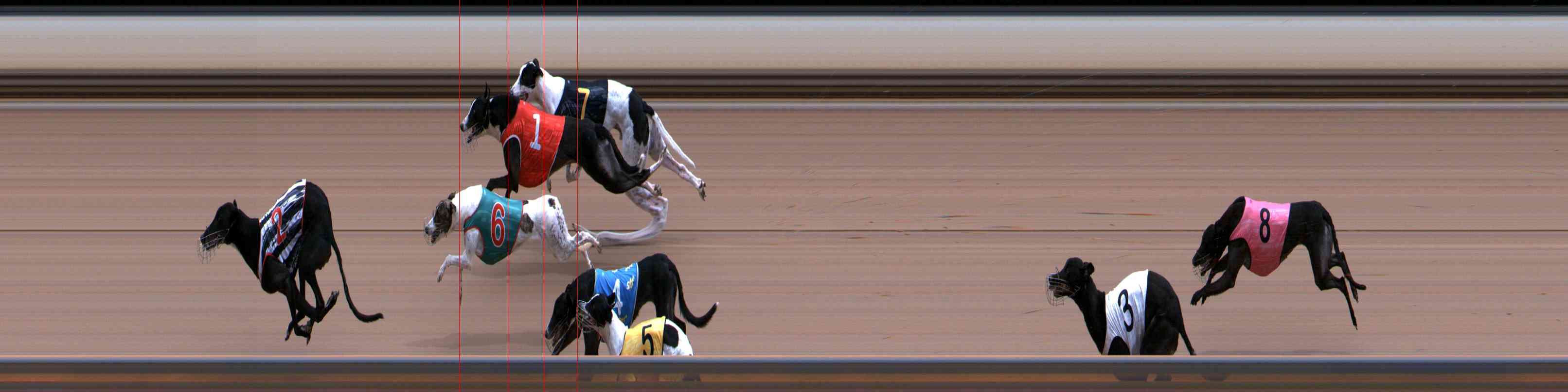 Photo finish for Healesville Race 6