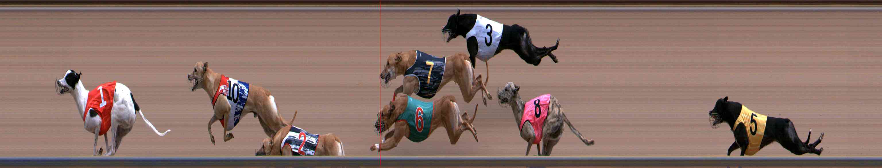 Photo finish for Healesville Race 7