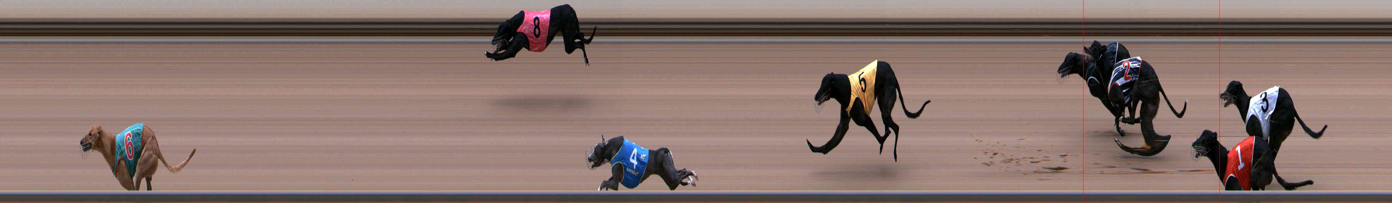 Photo finish for Healesville Race 8