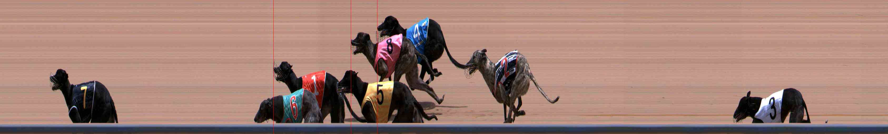 Photo finish for Healesville Race 9