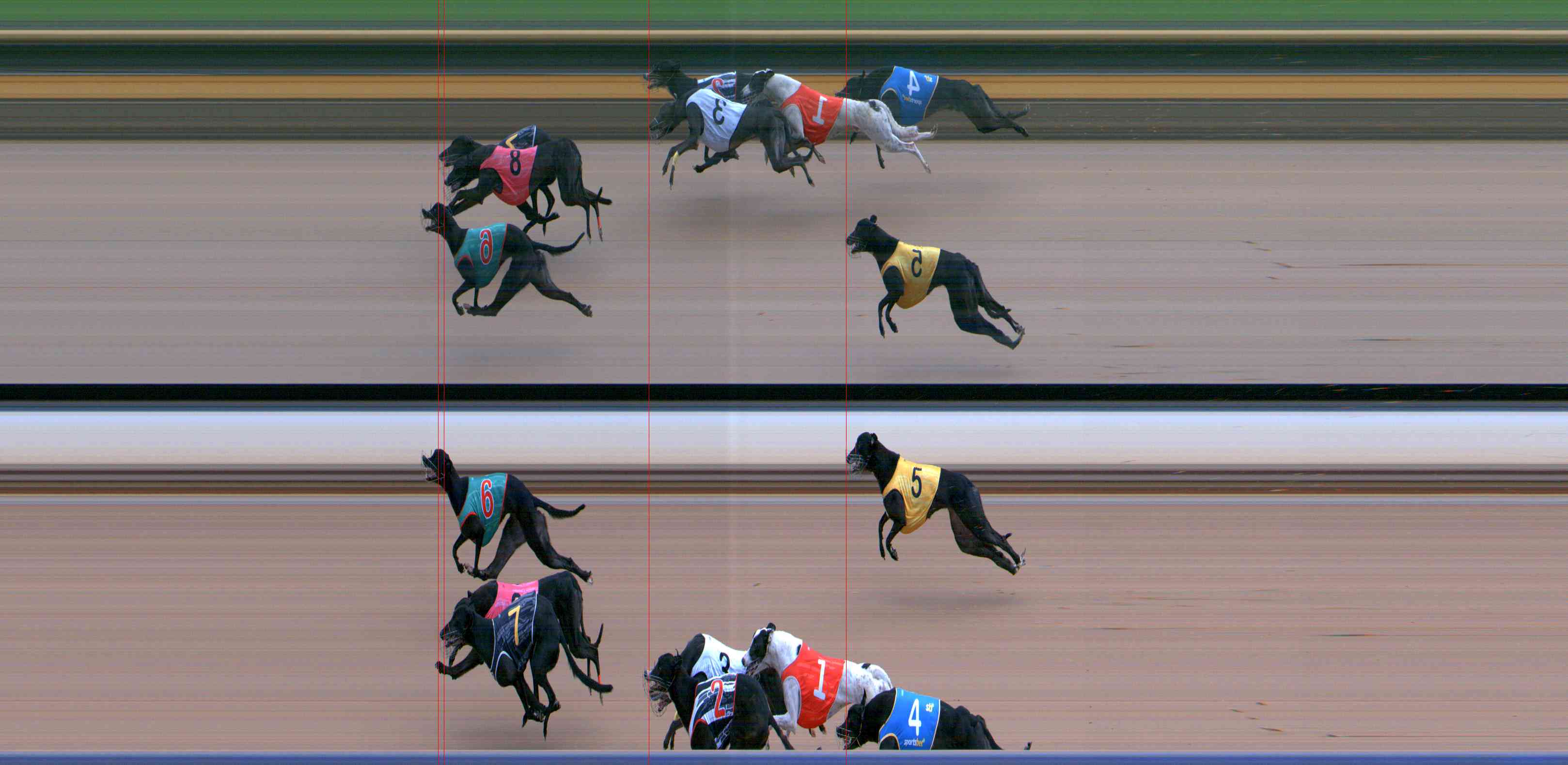 Photo finish for Healesville Race 10