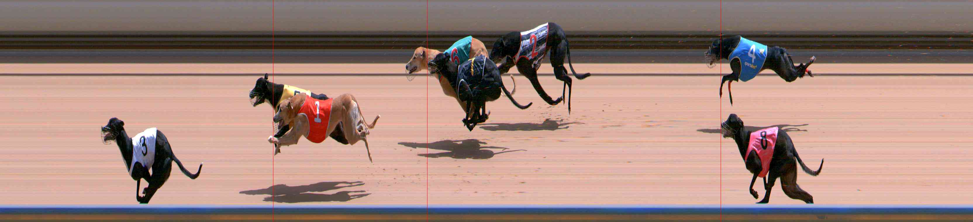 Photo finish for Healesville Race 11