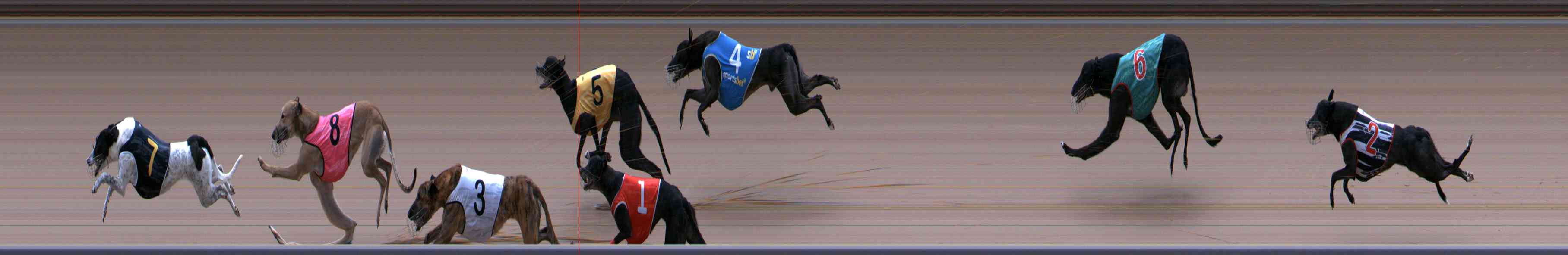 Photo finish for Healesville Race 12