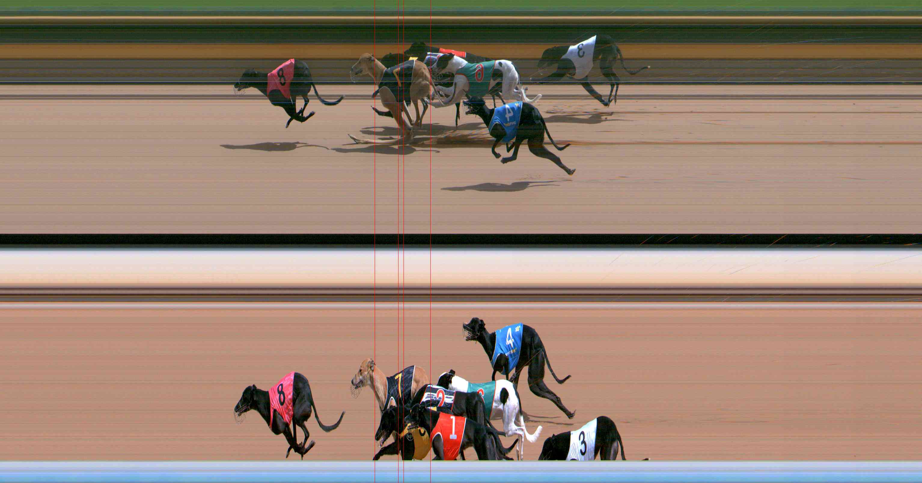 Photo finish for Healesville Race 1