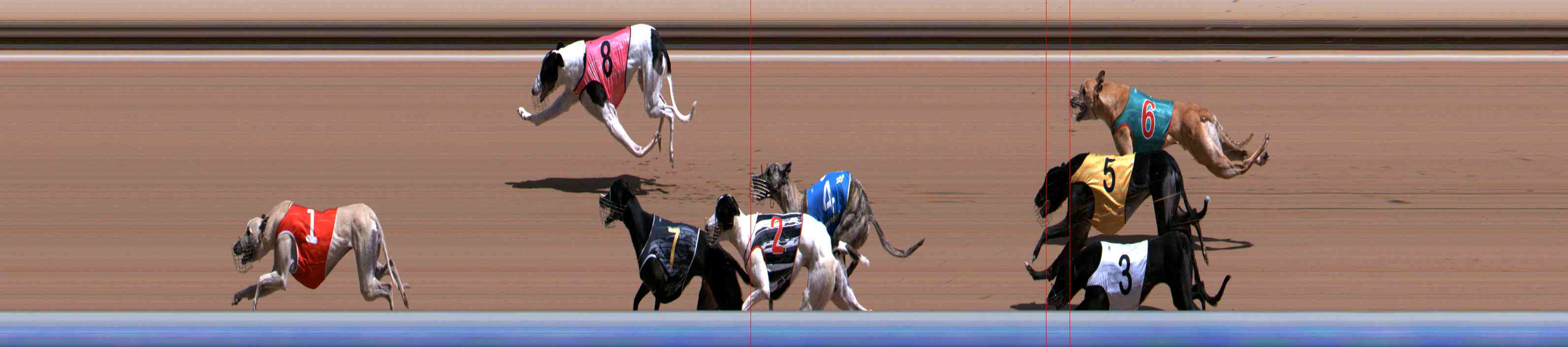 Photo finish for Healesville Race 3
