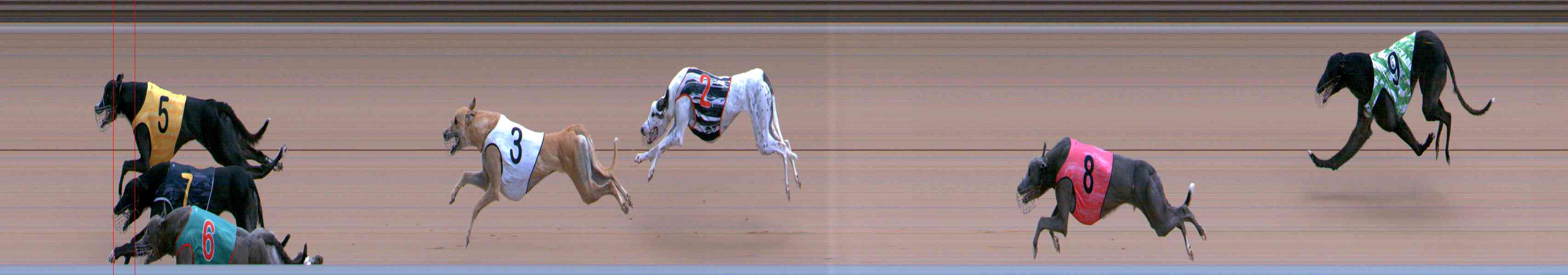 Photo finish for Healesville Race 5