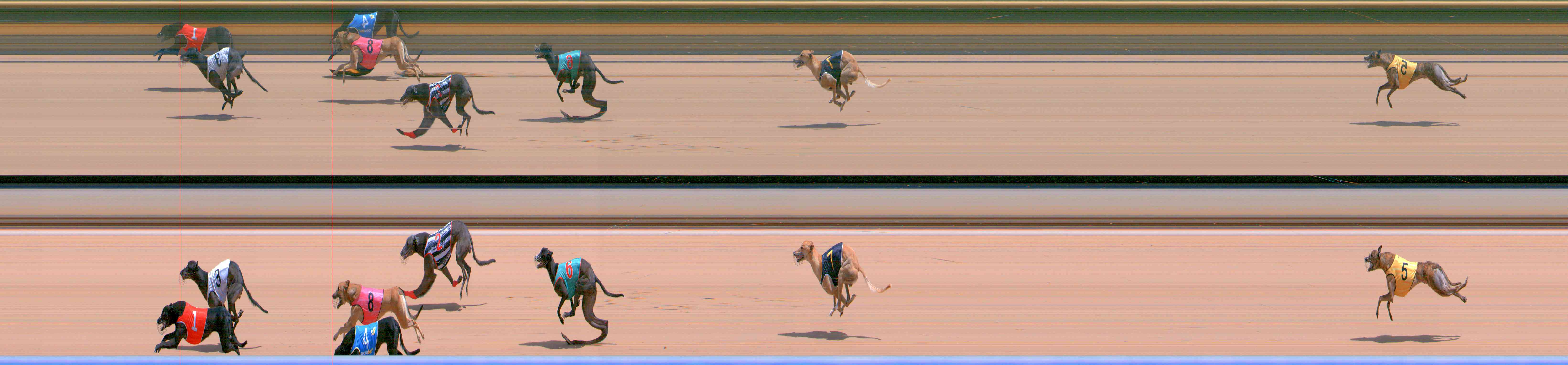 Photo finish for Healesville Race 6