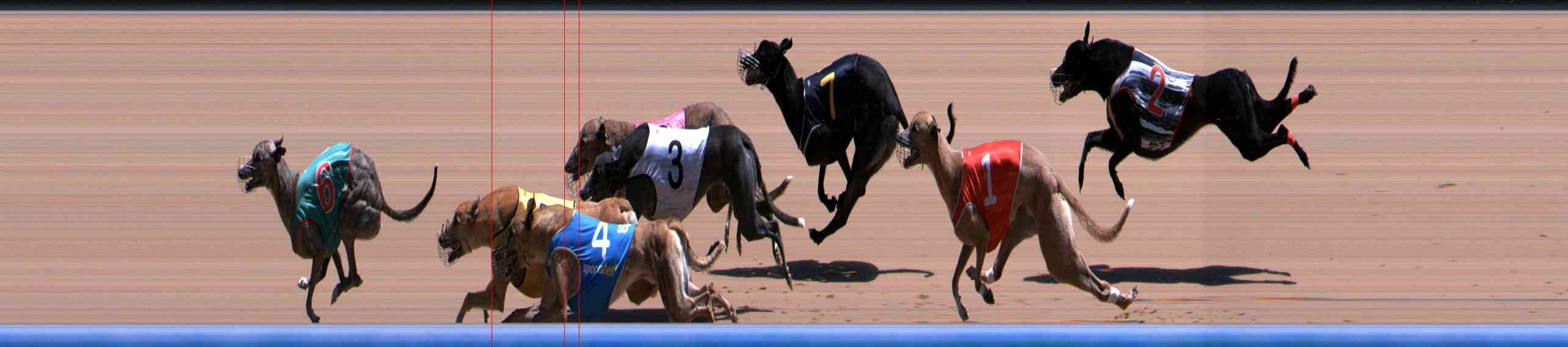 Photo finish for Healesville Race 9