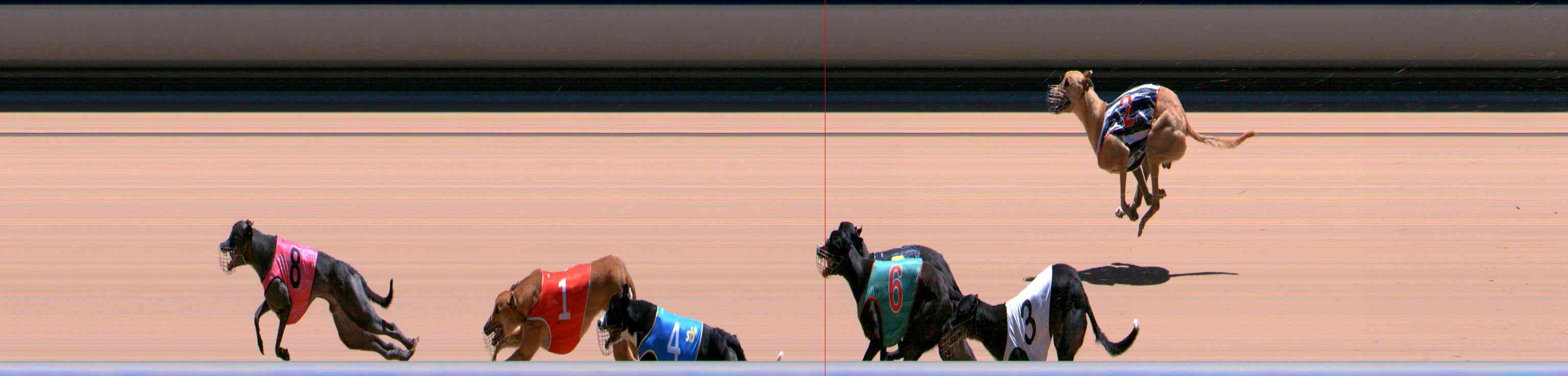 Photo finish for Healesville Race 10