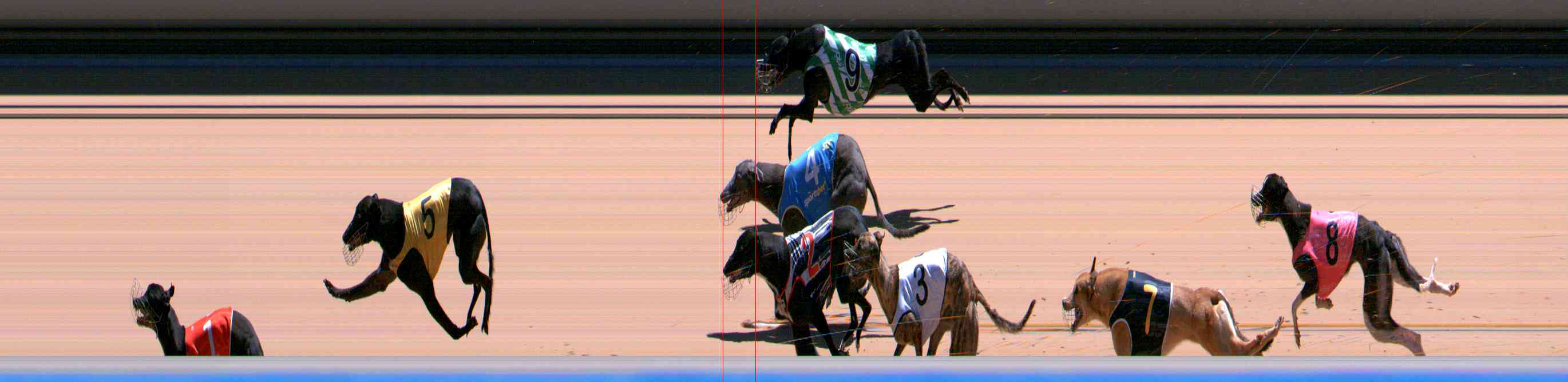 Photo finish for Healesville Race 11