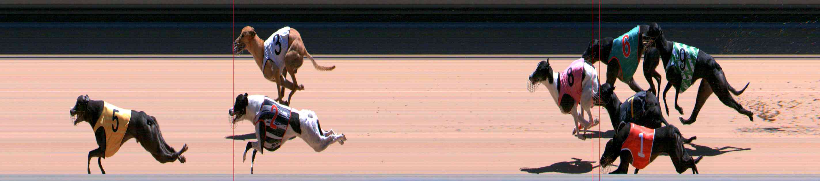 Photo finish for Healesville Race 12