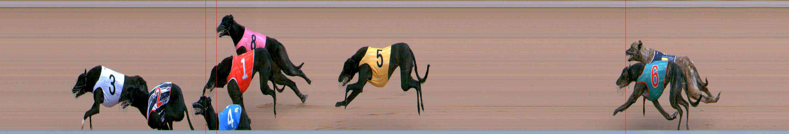 Photo finish for Healesville Race 1