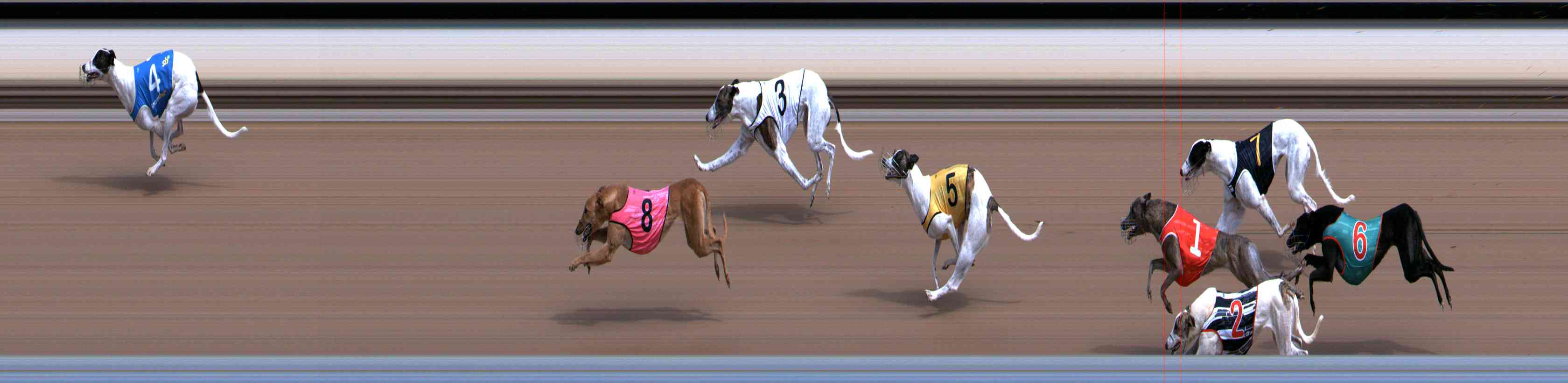 Photo finish for Healesville Race 2