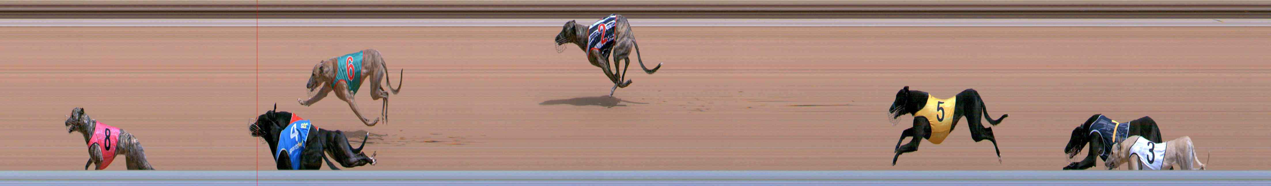 Photo finish for Healesville Race 3