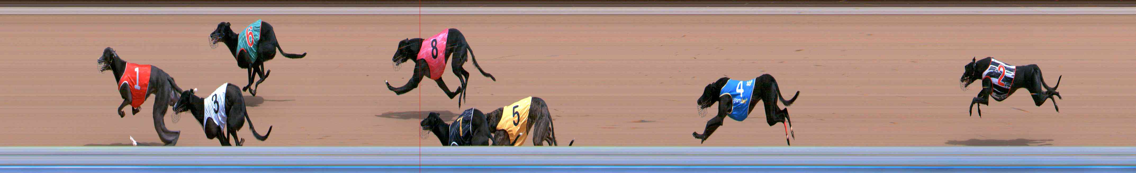 Photo finish for Healesville Race 4