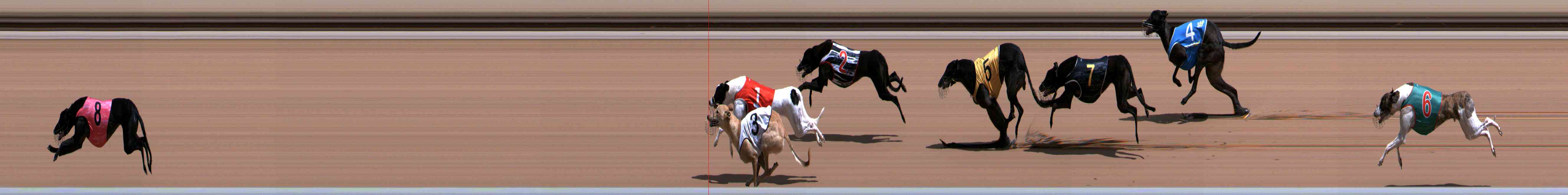 Photo finish for Healesville Race 5