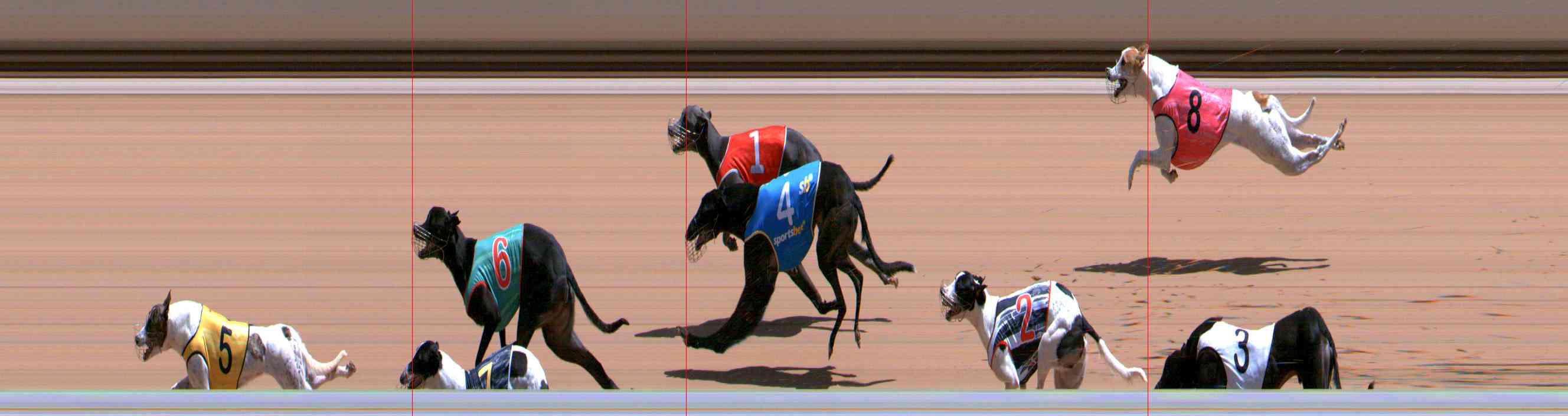 Photo finish for Healesville Race 8