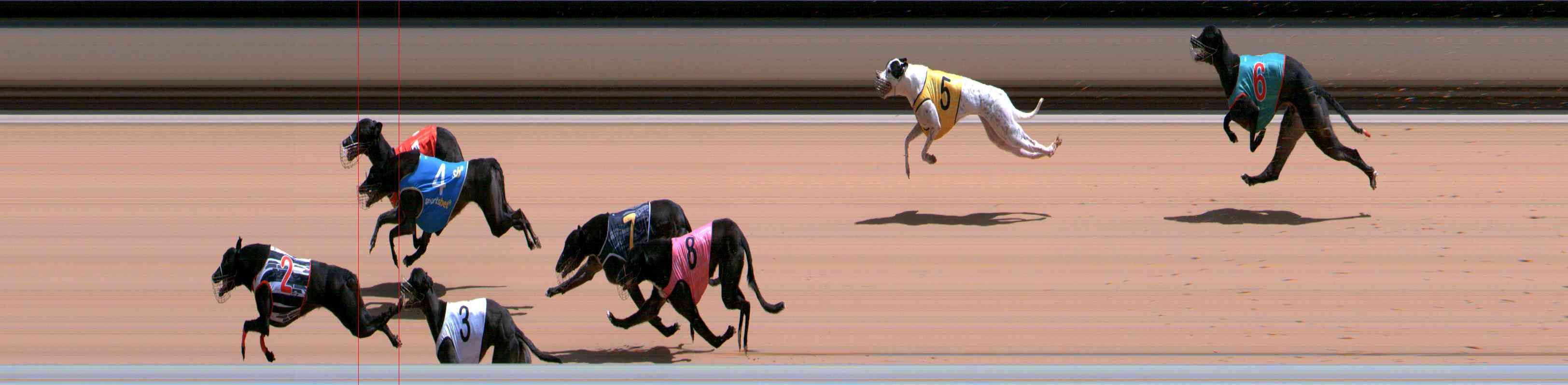 Photo finish for Healesville Race 9