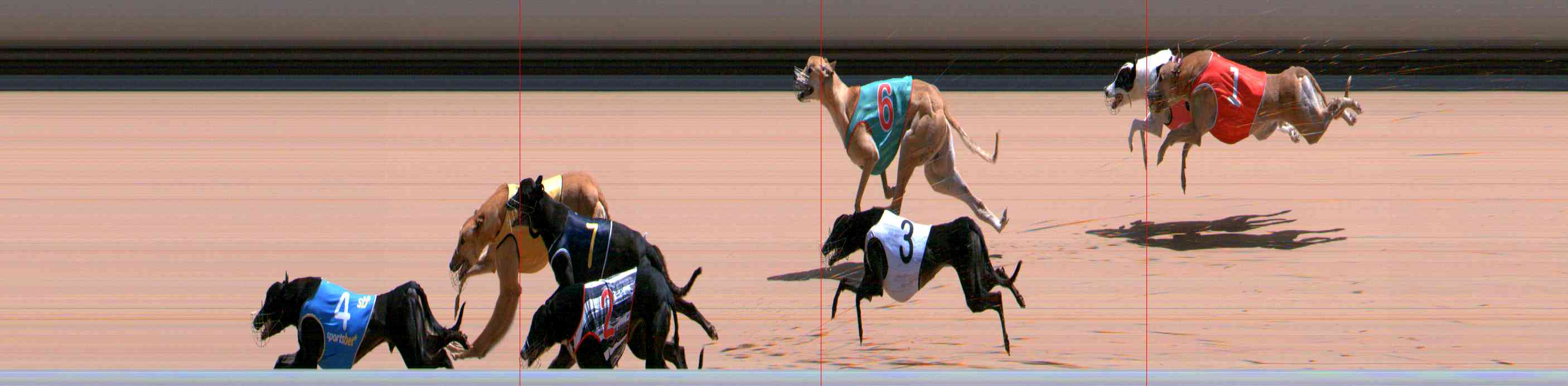 Photo finish for Healesville Race 10