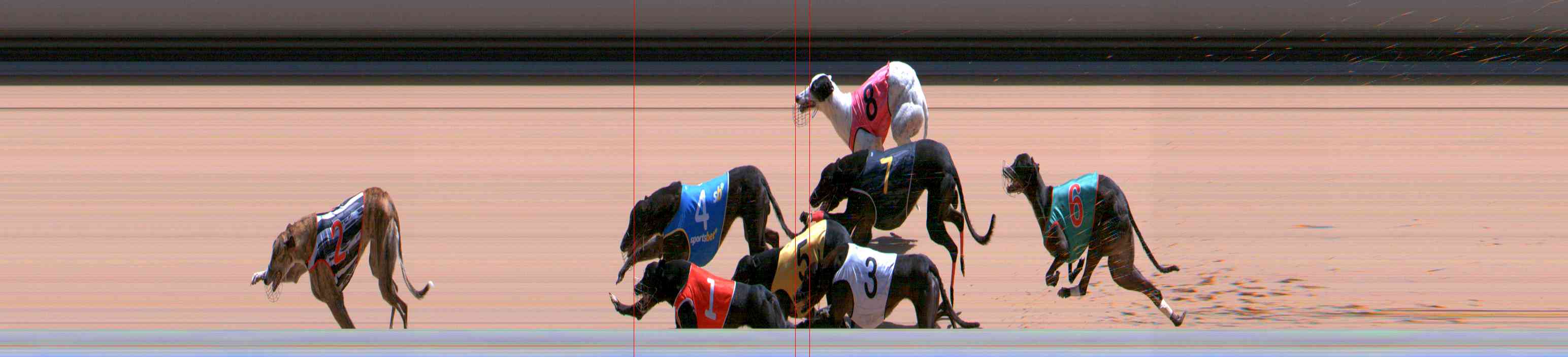 Photo finish for Healesville Race 11