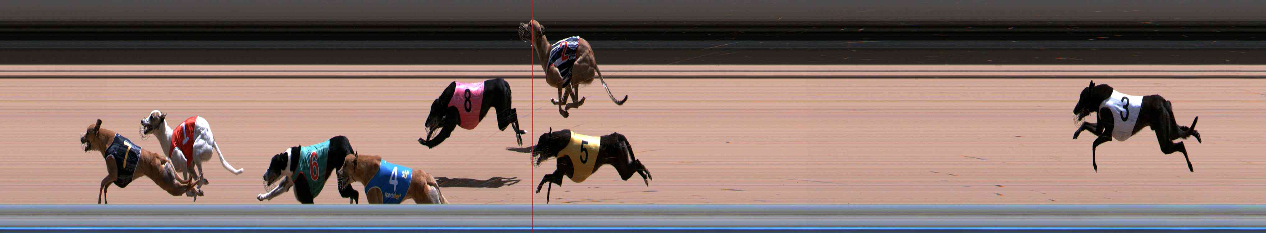 Photo finish for Healesville Race 12
