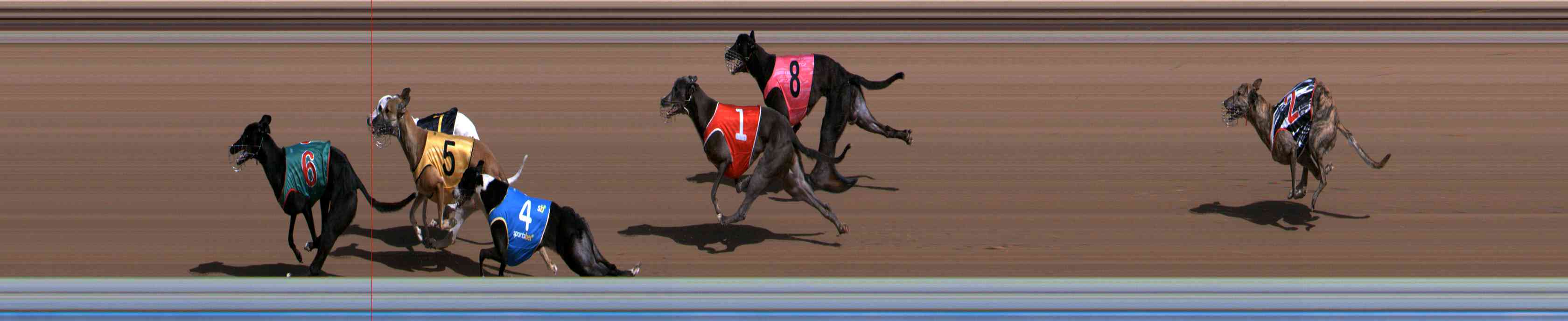 Photo finish for Healesville Race 1