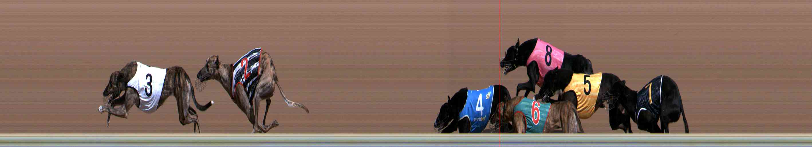 Photo finish for Healesville Race 2