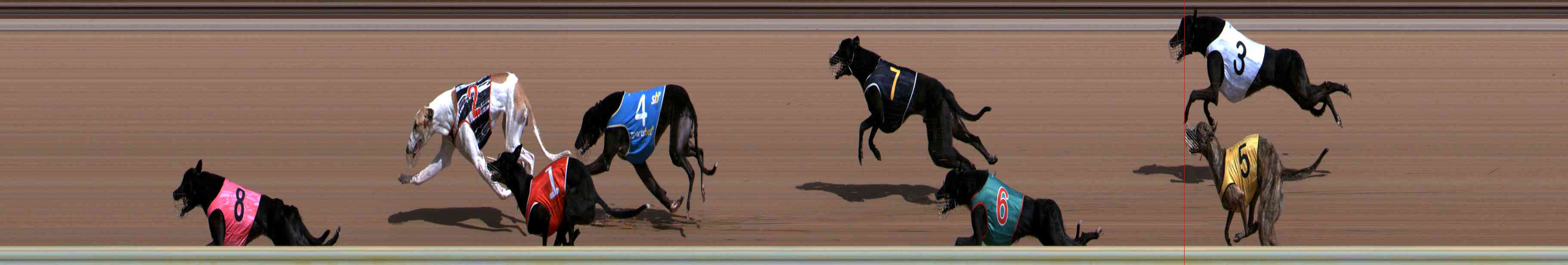 Photo finish for Healesville Race 3