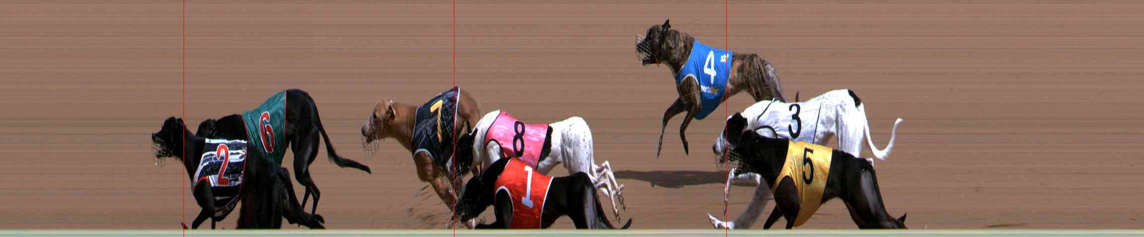 Photo finish for Healesville Race 4