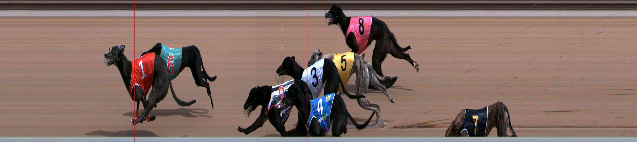 Photo finish for Healesville Race 5