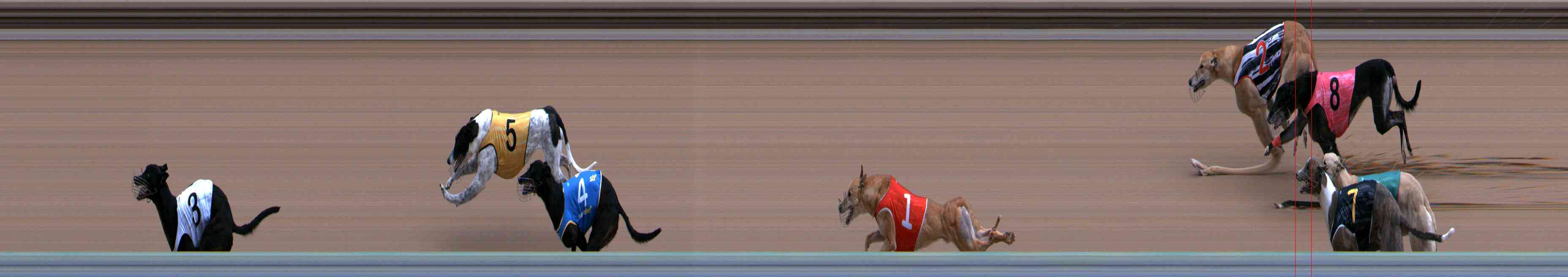Photo finish for Healesville Race 6