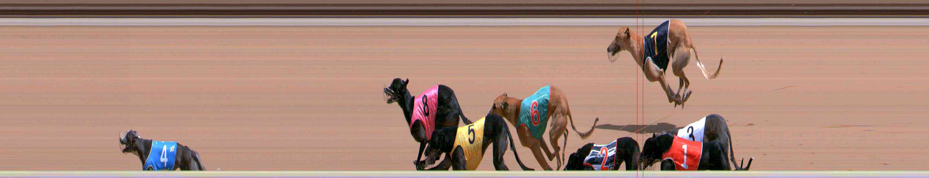 Photo finish for Healesville Race 7