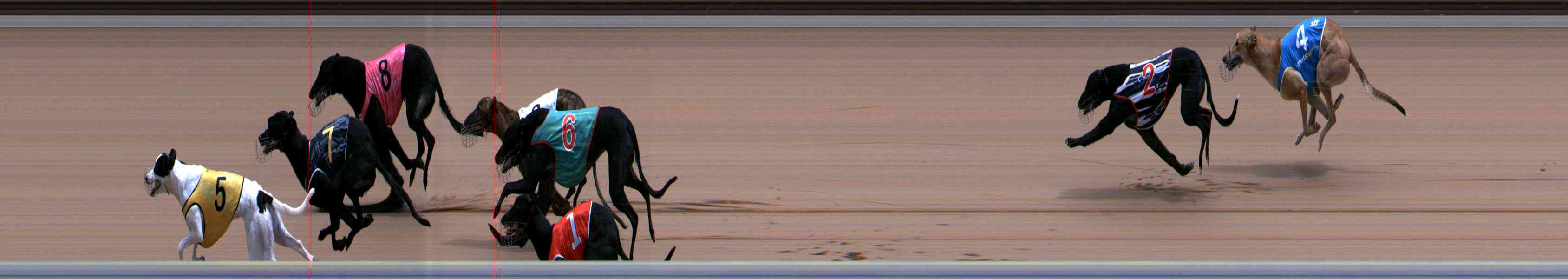 Photo finish for Healesville Race 8