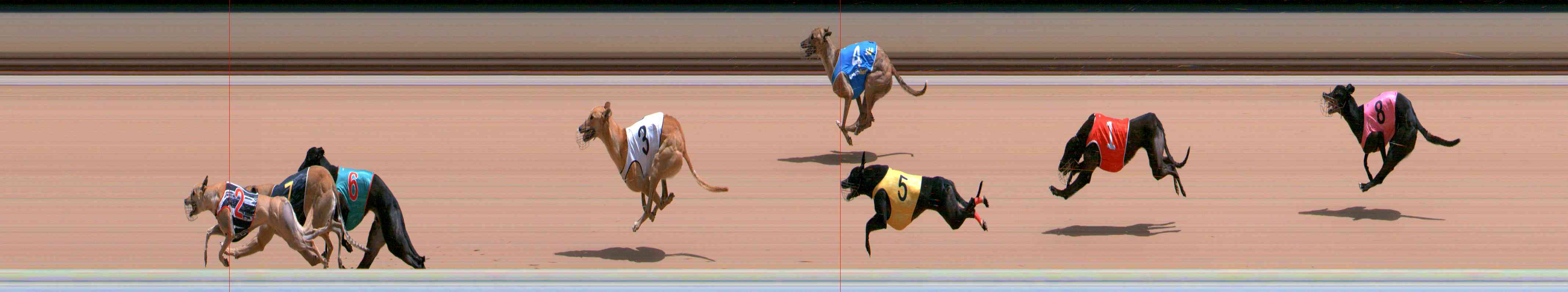 Photo finish for Healesville Race 9