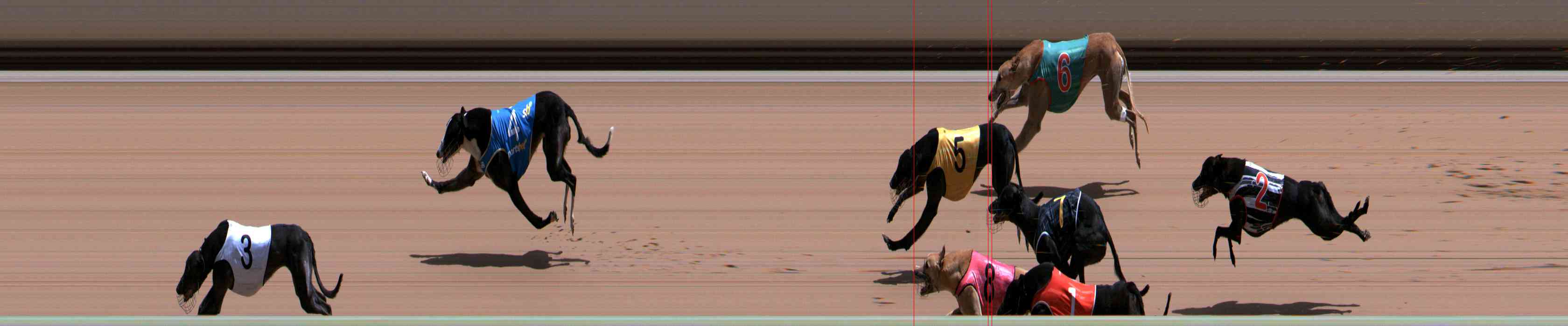 Photo finish for Healesville Race 10