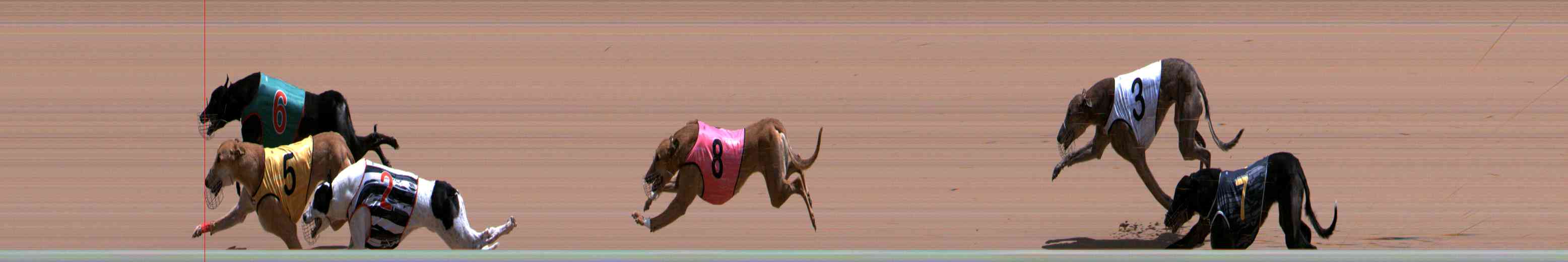 Photo finish for Healesville Race 11