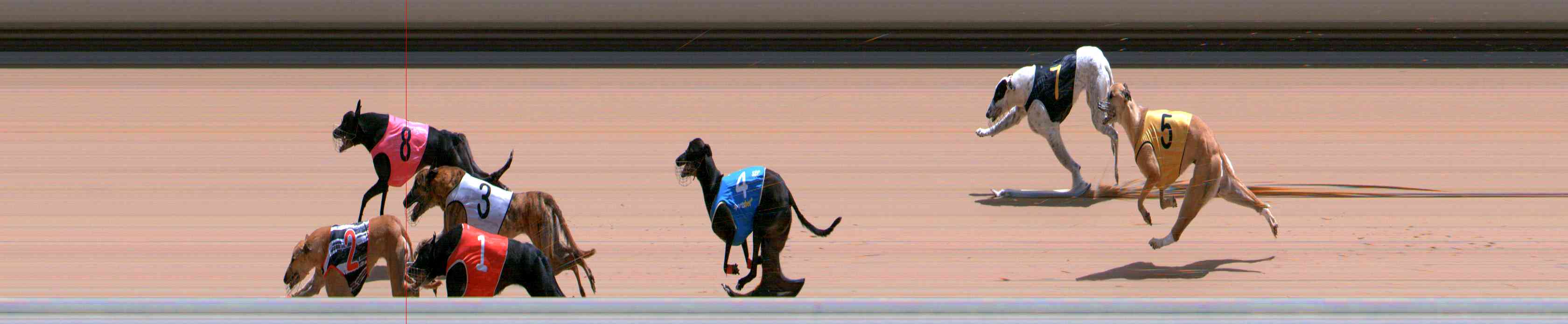 Photo finish for Healesville Race 12