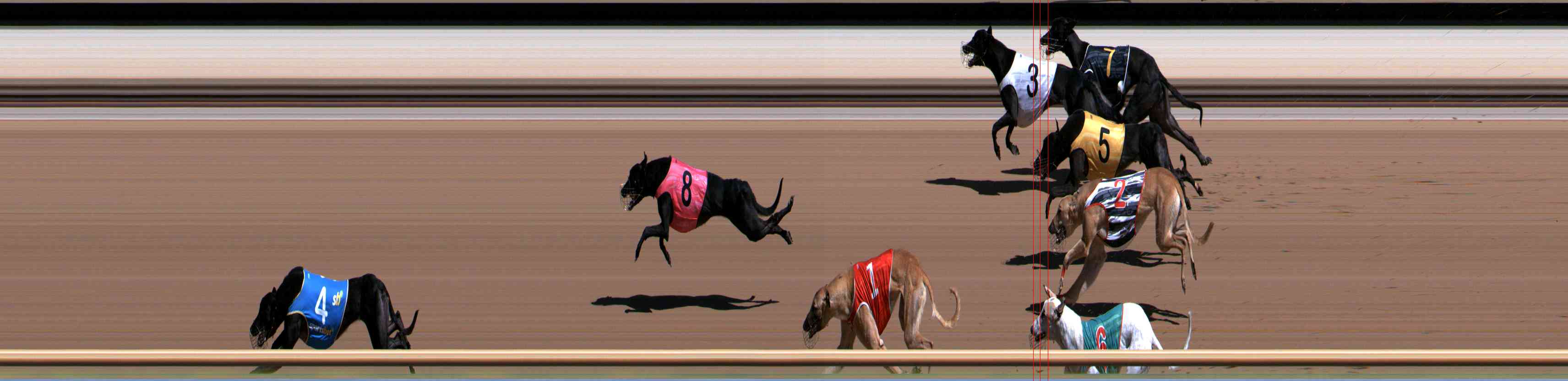 Photo finish for Healesville Race 3