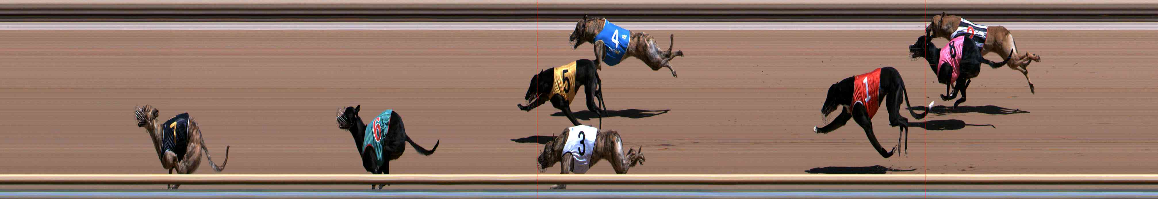 Photo finish for Healesville Race 4