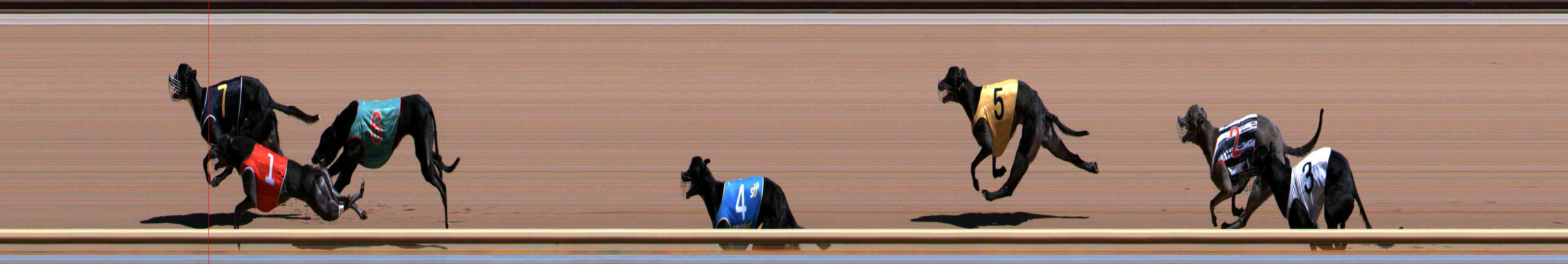 Photo finish for Healesville Race 6