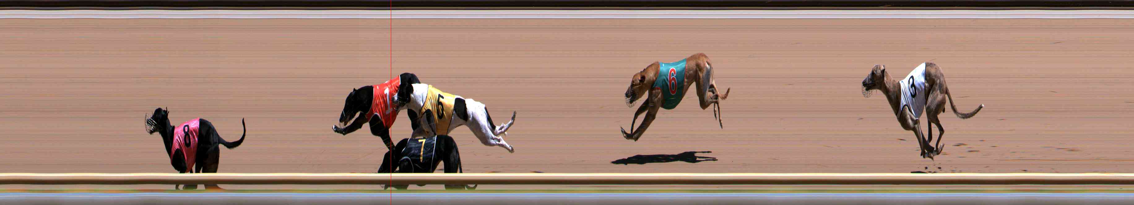 Photo finish for Healesville Race 7