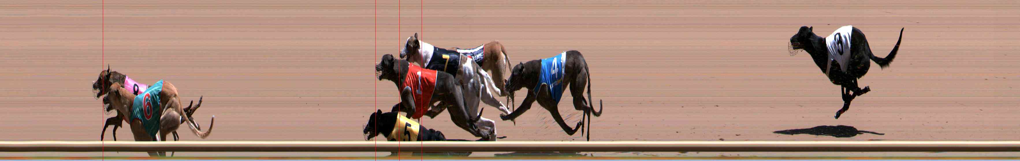 Photo finish for Healesville Race 9