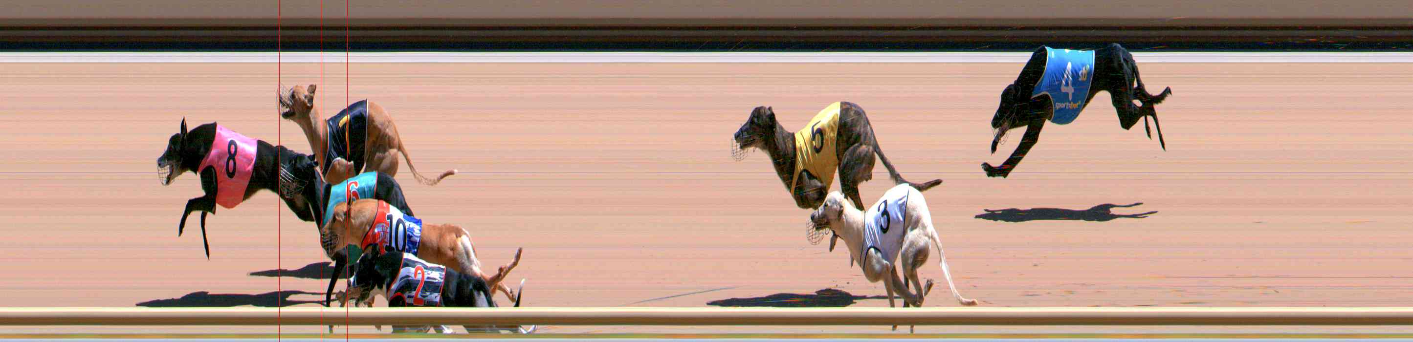 Photo finish for Healesville Race 10