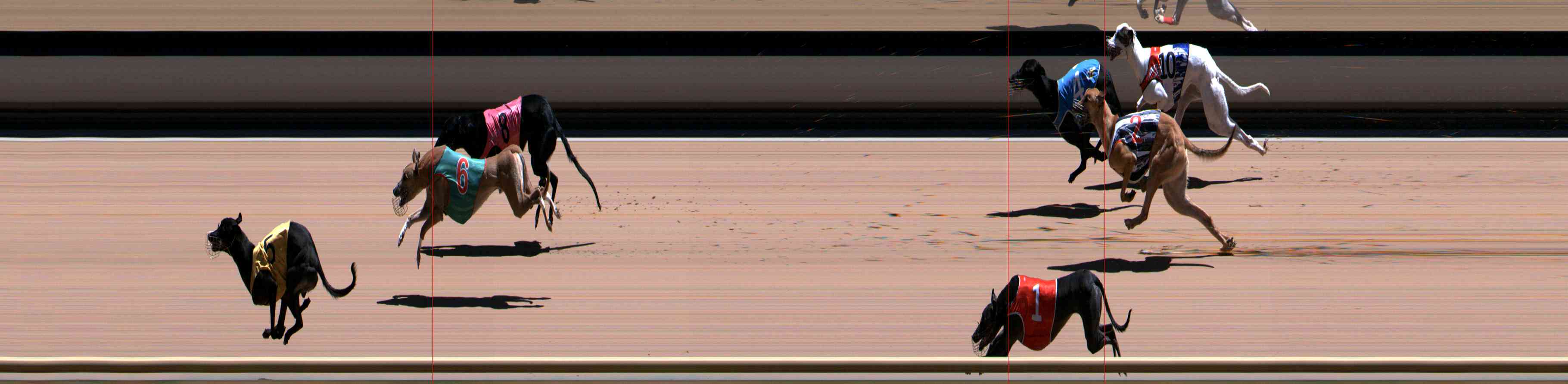 Photo finish for Healesville Race 11