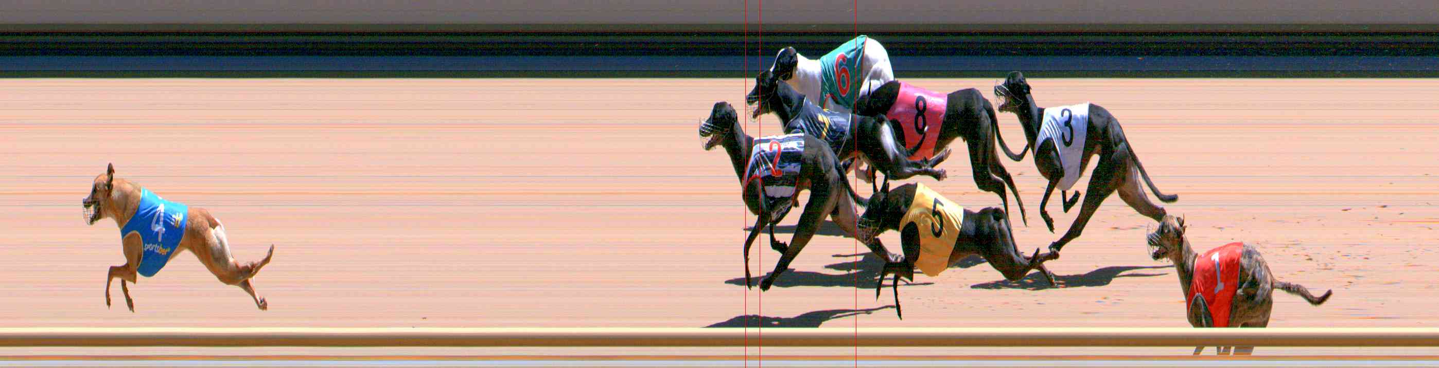 Photo finish for Healesville Race 12