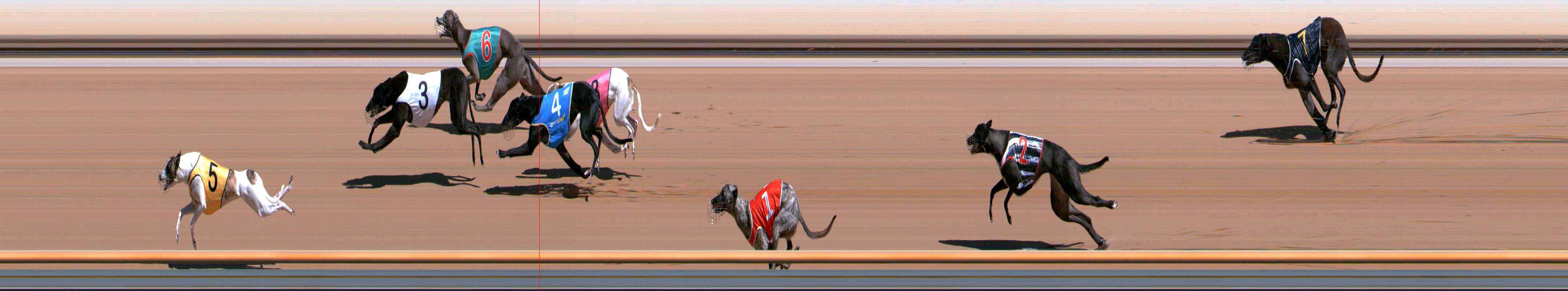 Photo finish for Healesville Race 1